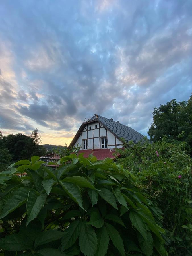 Ferienwohnung Zloty Zakatek Złoty Stok Exterior foto